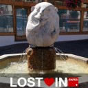Lost Heart In Swiss