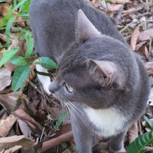 สมาชิกหมายเลข 7450555