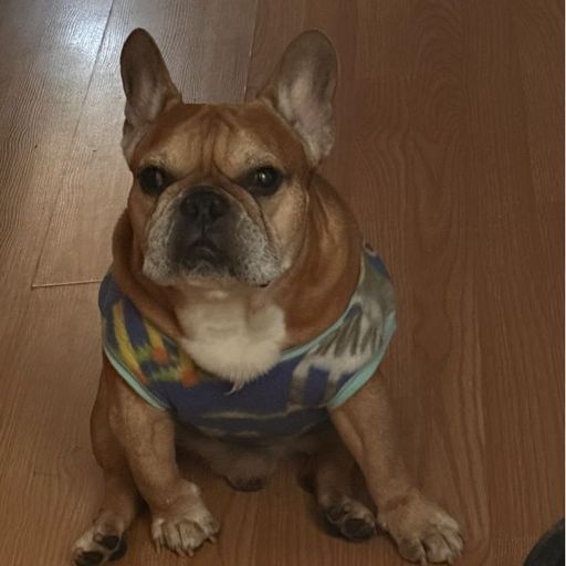 สมาชิกหมายเลข 8654389