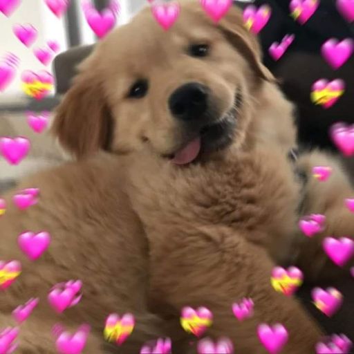 สมาชิกหมายเลข 9284119