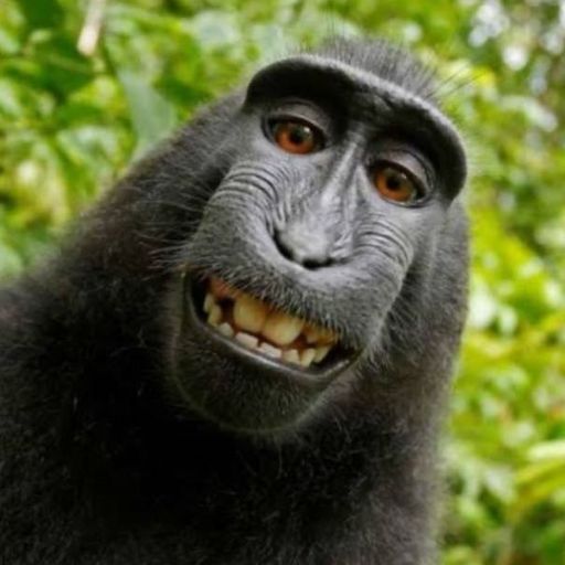 สมาชิกหมายเลข 9292326