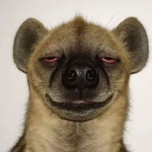 สมาชิกหมายเลข 9292350