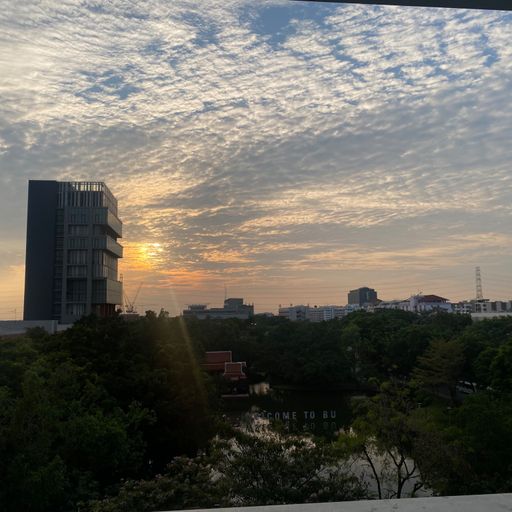 สมาชิกหมายเลข 9293006