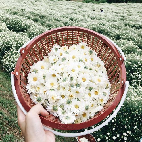 สมาชิกหมายเลข 4790906