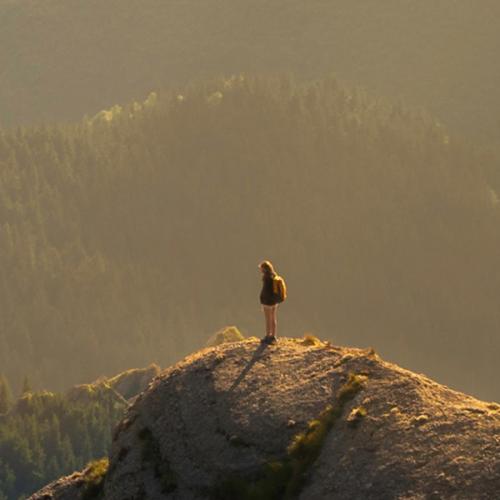 สมาชิกหมายเลข 6397991