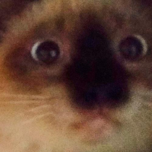 สมาชิกหมายเลข 6410720