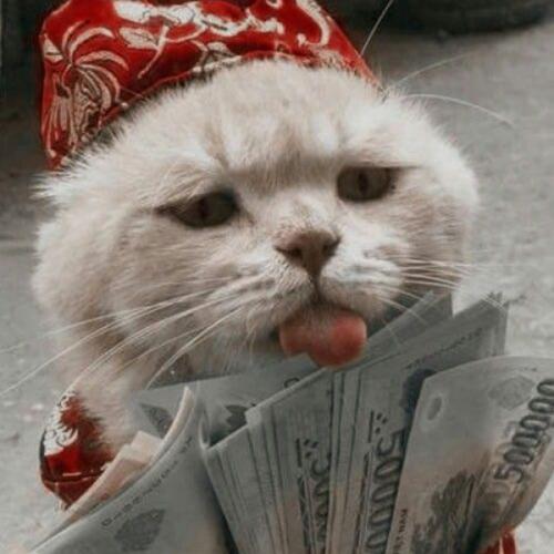 สมาชิกหมายเลข 2973637