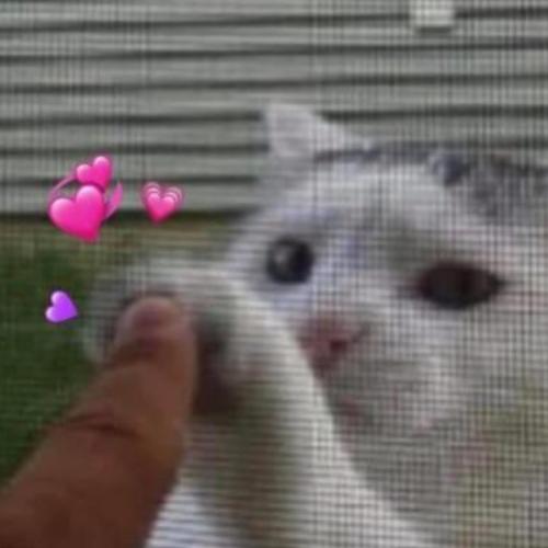 สมาชิกหมายเลข 5019300