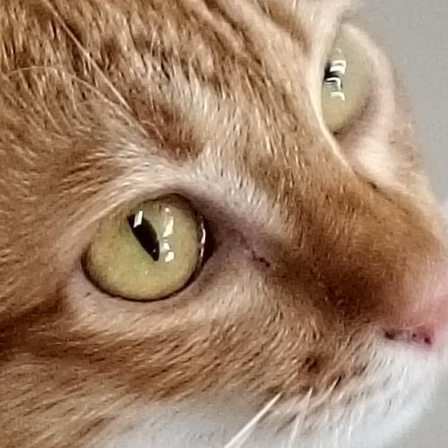 สมาชิกหมายเลข 7714200