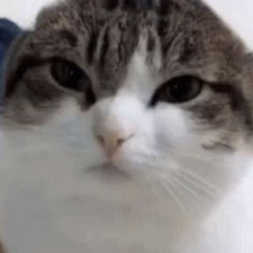 สมาชิกหมายเลข 7738685