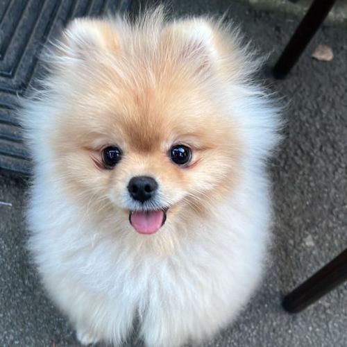 สมาชิกหมายเลข 8241558