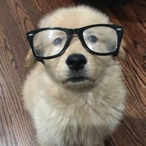 สมาชิกหมายเลข 8638687