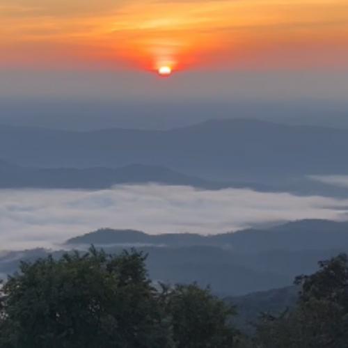 สมาชิกหมายเลข 8884358