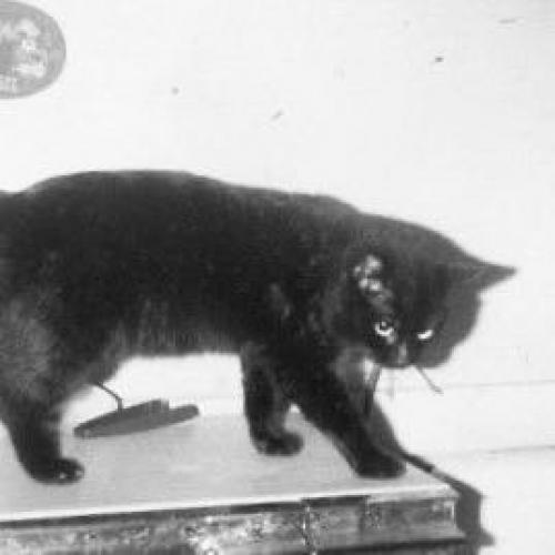 สมาชิกหมายเลข 8895350