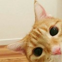 สมาชิกหมายเลข 3724642