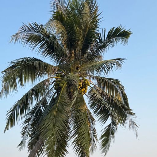 สมาชิกหมายเลข 7535283