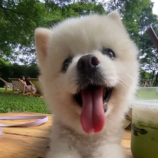 สมาชิกหมายเลข 9294167