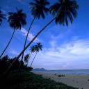 สมาชิกหมายเลข 4381061