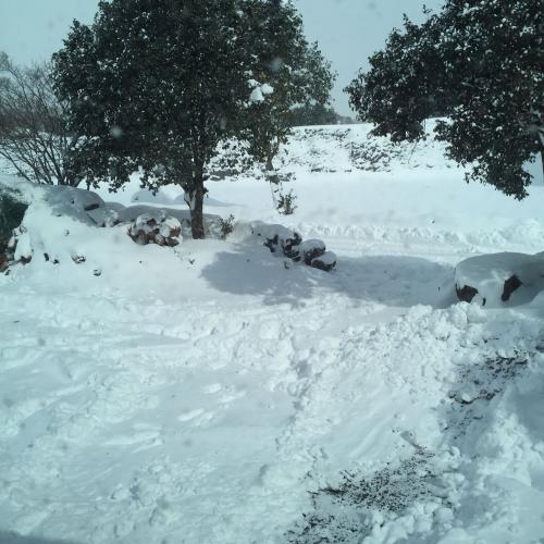 สมาชิกหมายเลข 4592247