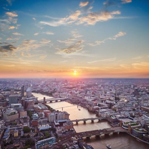 สมาชิกหมายเลข 5336734