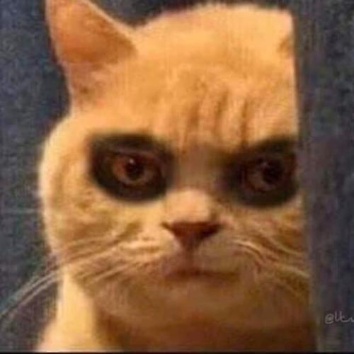 สมาชิกหมายเลข 5728359