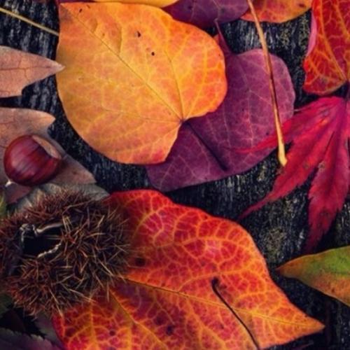 สมาชิกหมายเลข 5809440