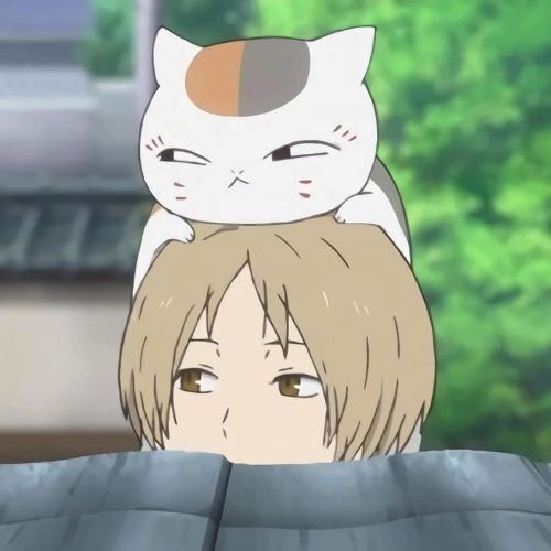 สมาชิกหมายเลข 5971192