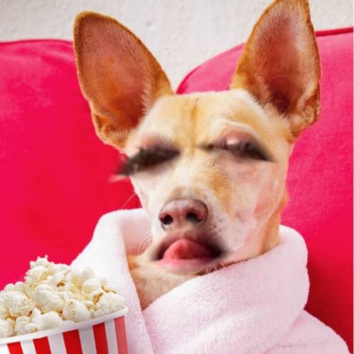 สมาชิกหมายเลข 6414490