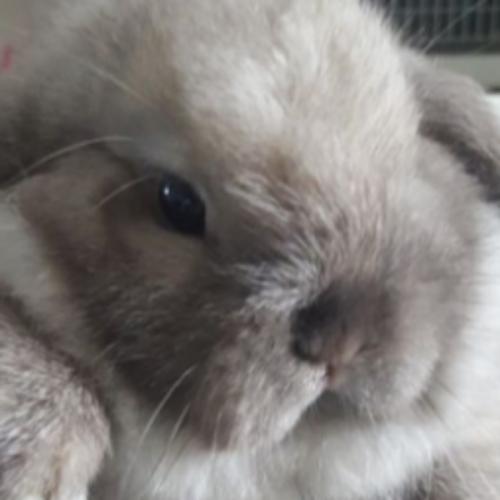 สมาชิกหมายเลข 6567943