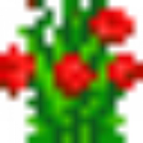 เดินเล่นในสวนยาง