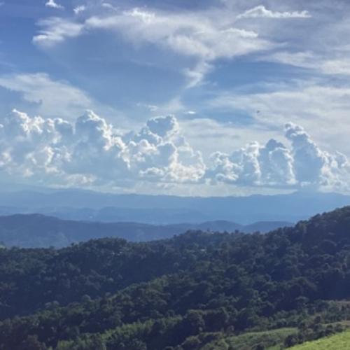 สมาชิกหมายเลข 7884288