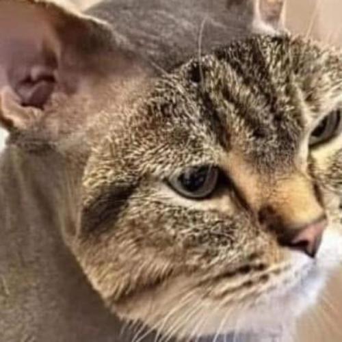 สมาชิกหมายเลข 8896663