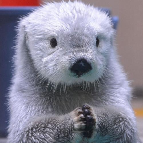 สมาชิกหมายเลข 8896691