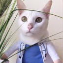 สมาชิกหมายเลข 996165