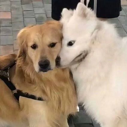 สมาชิกหมายเลข 1275974