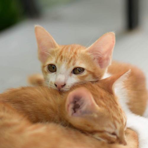 สมาชิกหมายเลข 3795821