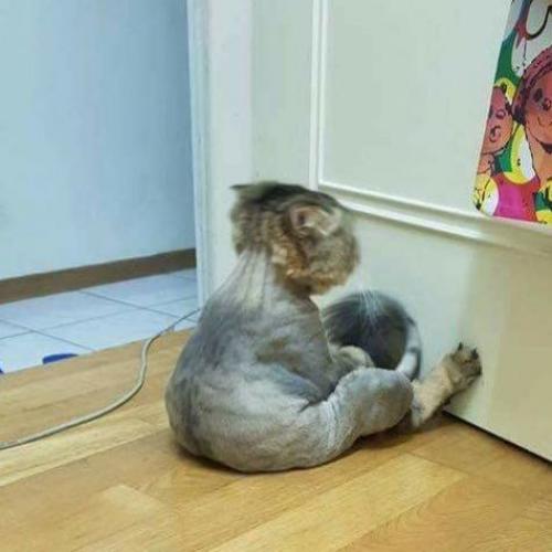 สมาชิกหมายเลข 4189077