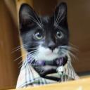 สมาชิกหมายเลข 4189130