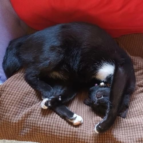 สมาชิกหมายเลข 8109613