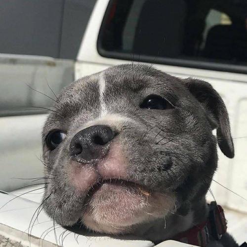 สมาชิกหมายเลข 4861373