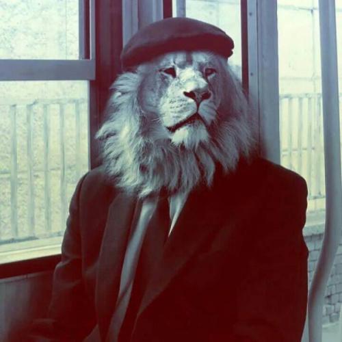 สมาชิกหมายเลข 3478790