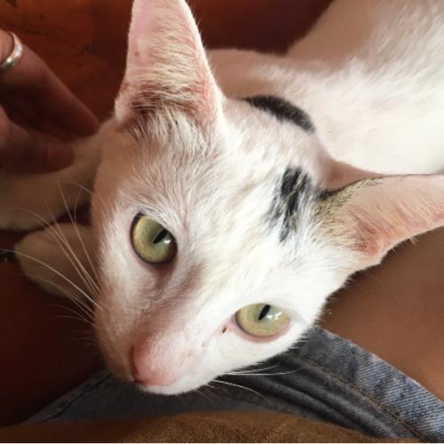 สมาชิกหมายเลข 5306331