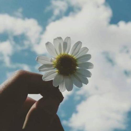 สมาชิกหมายเลข 5325726