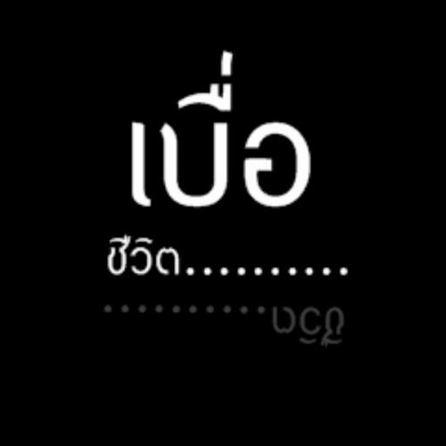สมาชิกหมายเลข 5337253