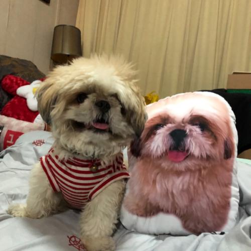 สมาชิกหมายเลข 1130687