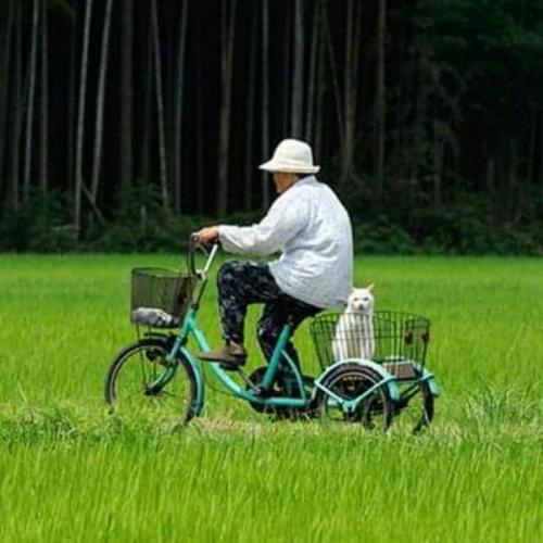 สมาชิกหมายเลข 1315861