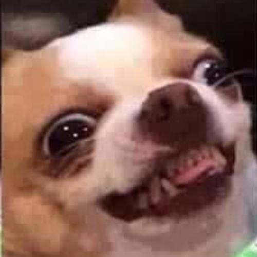 สมาชิกหมายเลข 1091443