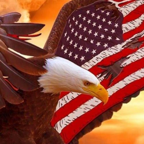 สมาชิกหมายเลข 6243391