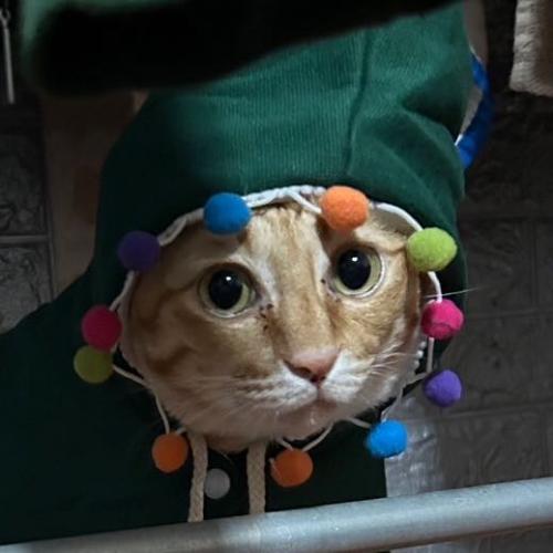 สมาชิกหมายเลข 3822300