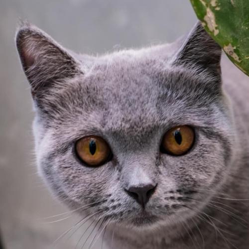 สมาชิกหมายเลข 7578618